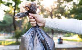 Image for Best Home Waste Hassle Near Me? Wastix Provides Easy, Convenient, and Professional Waste Collection!